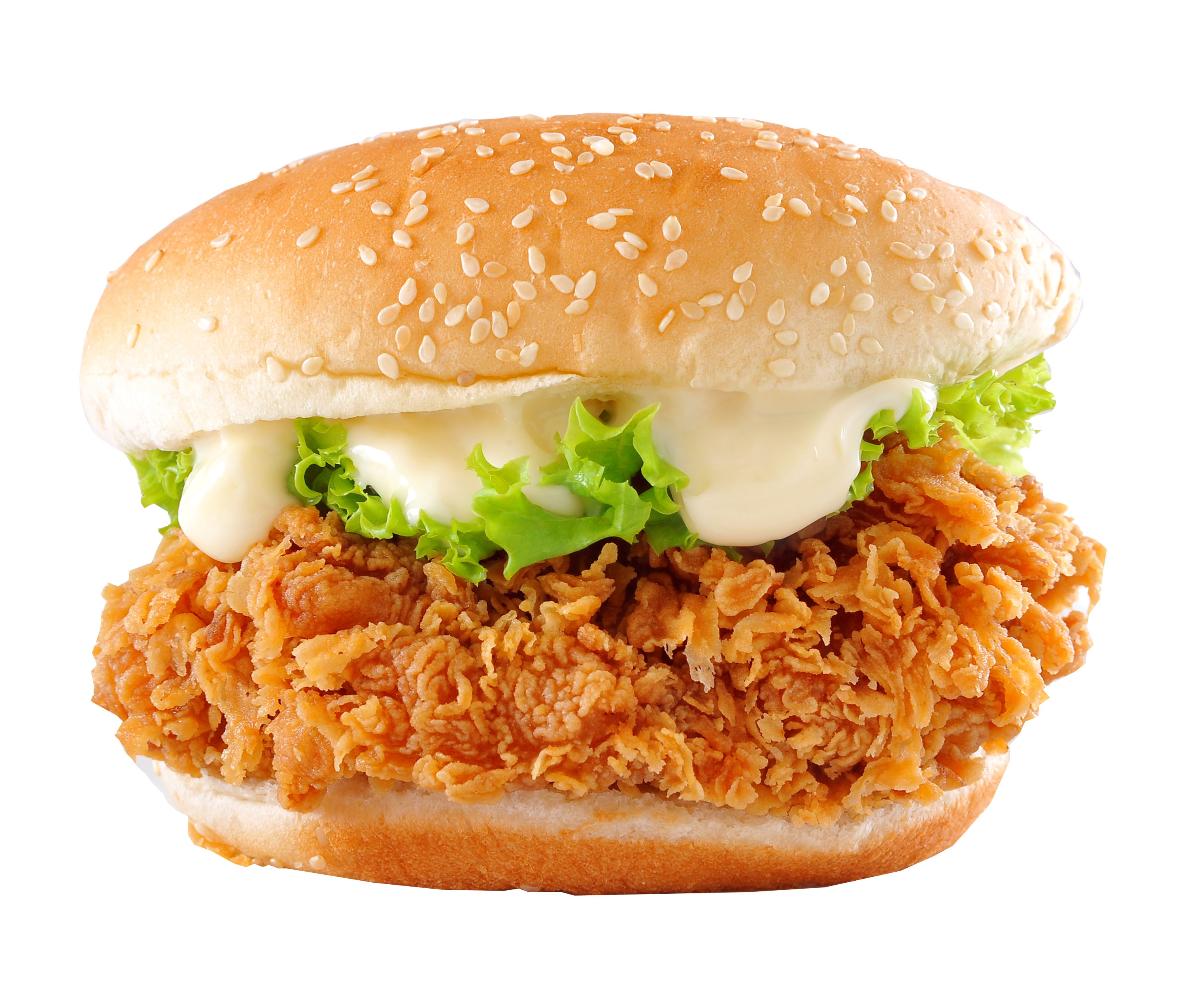 Crispy Chicken